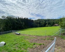 Diagonalgeflecht verzinkt mit Rohrpfosten verzinkt einbetoniert wurde in Flawil von Zaunteam Appenzellerland, Wasserauen im Jahr 2024 erstellt.