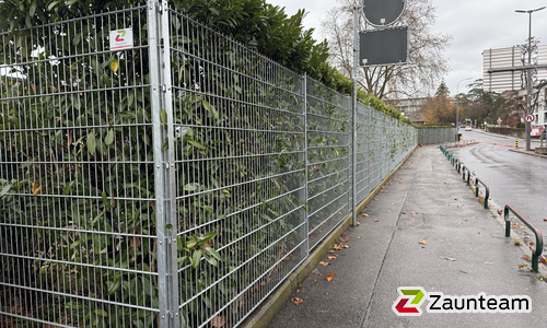 Doppelstabmatten schwer verzinkt mit Pfosten 40x60 verzinkt mit Abdeckleisten einbetoniert wurde in Chêne-Bourg von Swissclôture Genève, Bellevue im Jahr 2025 erstellt.