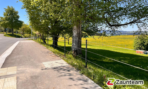 Drahtseilzaun mit Rohrpfosten anthrazit metallic wurde in Weiler-Simmerberg von Zaunteam Allgäu, Bad Hindelang - Unterjoch im Jahr 2024 erstellt.