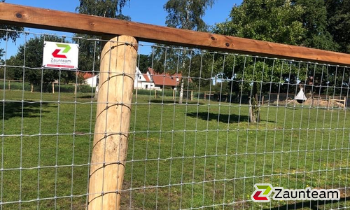 Knotengitter Torus, engmaschig mit Tannenpfosten zylindrisch grün wurde in Rahden von Zaunteam Kischkel, Lübbecke im Jahr 2023 erstellt.