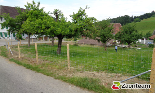 Knotengitter Tornado mit Robinienpfosten rund wurde in Rüedisbach von Zaunteam Mittelland, Bützberg im Jahr 2018 erstellt.