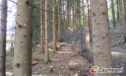 Doppelstabmatten leicht feuerverzinkt und anthrazit beschichtet mit Pfosten 60 x 40 mit Bügel einbetoniert wurde in Tragöß  von Zaunteam Obersteiermark-Ost, Kapfenberg im Jahr 2025 erstellt.