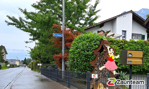 Doppelstabmatten schwer vorverzinkt und anthrazit beschichtet mit Pfosten 60 x 40 mit Abdeckleisten einbetoniert wurde in Rüthi von Zaunteam Werdenberg, Werdenberg im Jahr 2025 erstellt.