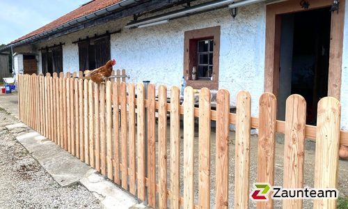 Lärchenzaun Holz vor die Pfosten mit T-Stahlpfosten verzinkt einbetoniert wurde in Provence von Swissclôture Nord Vaudois, Pomy im Jahr 2025 erstellt.