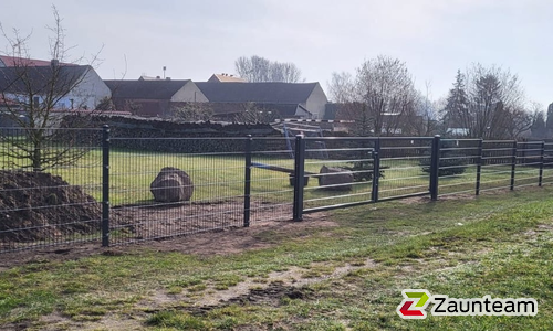Doppelstabmatten leicht vorverzinkt und anthrazit beschichtet mit Pfosten Vario einbetoniert wurde in Schora von Zaunteam Fläming, Coswig im Jahr 2024 erstellt.