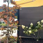 WPC Sichtschutz Diverse wurde in Bärenthal von Zaunteam Obere Donau-Bodensee, Sauldorf-Krumbach im Jahr 2025 erstellt.