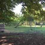 Doppelstabmatten schwer verzinkt mit Pfosten 40x60 verzinkt mit Abdeckleisten einbetoniert wurde in Böhringen von Zaunteam Lkr. Rottweil, Dietingen-Rotenzimmern im Jahr 2024 erstellt.