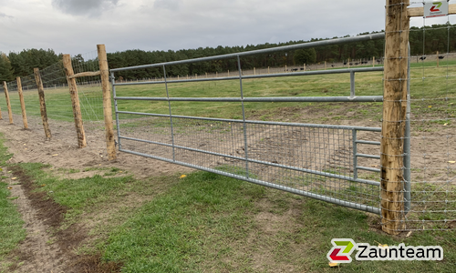 Weidetor ausziehbar wurde in Ahlbeck von Zaunteam Pasewalk, Pasewalk im Jahr 2024 erstellt.