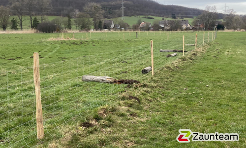 Knotengitter Tornado mit Robinienpfosten rund wurde in Pattensen von Zaunteam Weser-Leine, Salzhemmendorf im Jahr 2021 erstellt.