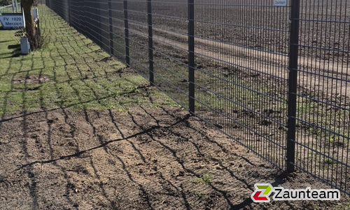 Doppelstabmatten schwer vorverzinkt und anthrazit beschichtet mit Pfosten Vario einbetoniert wurde in Merzien von Zaunteam Fläming, Coswig im Jahr 2025 erstellt.