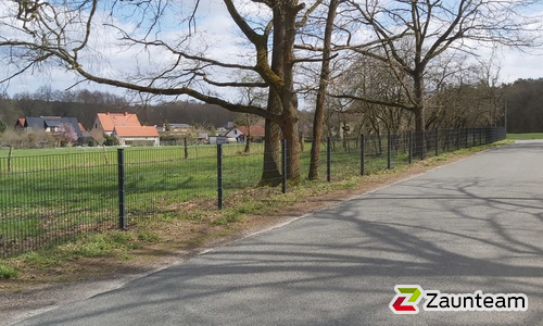 Doppelstabmatten leicht vorverzinkt und anthrazit beschichtet mit Pfosten 60 x 40 mit Abdeckleisten einbetoniert wurde in Lutherstadt Wittenberg von Zaunteam Fläming, Coswig im Jahr 2021 erstellt.