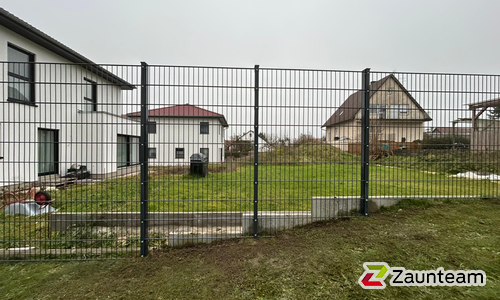 Doppelstabmatten schwer vorverzinkt und anthrazit beschichtet mit Pfosten 60 x 40 mit Abdeckleisten einbetoniert wurde in Griesingen von Zaunteam Oberschwaben, Obermarchtal im Jahr 2025 erstellt.