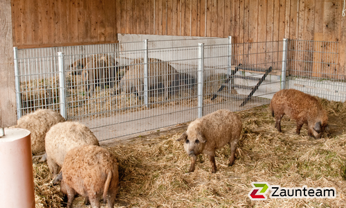 Tiergehege wurde in Klettgau von Zaunteam Granacher, Lauchringen im Jahr 2012 erstellt.