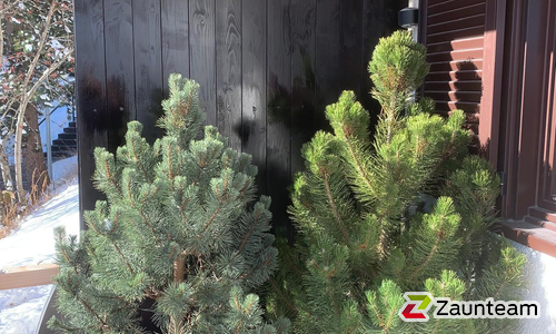 Holz Sichtschutz wurde in St. Moritz von Zaunteam Engadin, Zernez im Jahr 2025 erstellt.