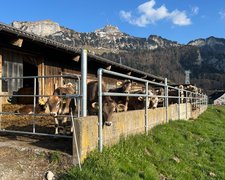 Rohrzaun verzinkt einbetoniert wurde in Brülisau von Zaunteam Appenzellerland, Wasserauen im Jahr 2025 erstellt.