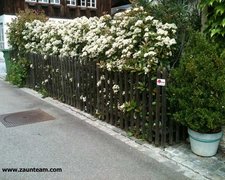 Palisaden mit T-Stahlpfosten verzinkt einbetoniert wurde in Zollikon von Zaunteam Zürich Oberland GmbH, Gutenswil erstellt.