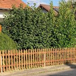Palisadenzaun, weitere Modelle wurde in Lackendorf von Zaunteam Lkr. Rottweil, Dietingen-Rotenzimmern im Jahr 2026 erstellt.