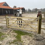 Weidetor England wurde in Neurhede von Zaunteam Emsland, Rastdorf im Jahr 2025 erstellt.