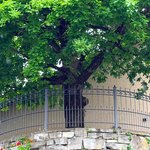 Klassikzaun Zeus wurde in Geroldswil von Zaunteam Zürich, Dietikon im Jahr 2026 erstellt.