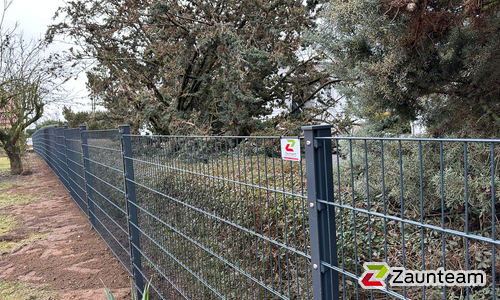 Doppelstabmatten leicht vorverzinkt und anthrazit beschichtet mit Pfosten 60 x 40 mit Abdeckleisten einbetoniert wurde in Zahna- Elster von Zaunteam Fläming, Coswig im Jahr 2026 erstellt.