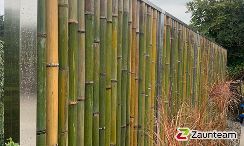 Sichtschutz Bambus Chiang-Mai / Stahlpfosten mit Edelstahlabdeckung einbetoniert wurde in Meggen  von Zaunteam Innerschweiz, Meierskappel im Jahr 2022 erstellt.