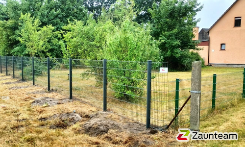 Doppelstabmatten leicht vorverzinkt und anthrazit beschichtet mit Pfosten 60 x 40 mit Abdeckleisten einbetoniert wurde in Kemberg von Zaunteam Fläming, Coswig im Jahr 2022 erstellt.