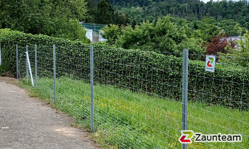Knotengitter leicht mit Z-Profilpfosten wurde in Gernsbach von Zaunteam Baden-Baden, Baden-Baden im Jahr 2026 erstellt.