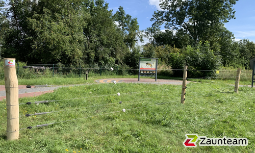 Elektrofestzaun mit Robinienpfosten vierkant wurde in Pasewalk von Zaunteam Pasewalk, Pasewalk im Jahr 2025 erstellt.