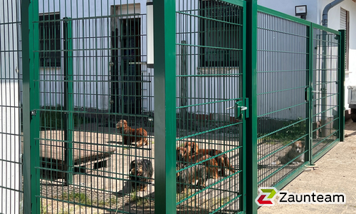 Doppelstabmattentor 1-flüglig wurde in Bohmte von Zaunteam Osnabrücker Land, Belm im Jahr 2023 erstellt.