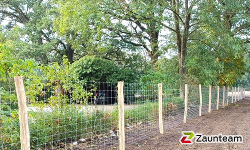 Knotengitter Tornado mit Robinienpfosten roh wurde in Rahden von Zaunteam Kischkel, Lübbecke im Jahr 2023 erstellt.