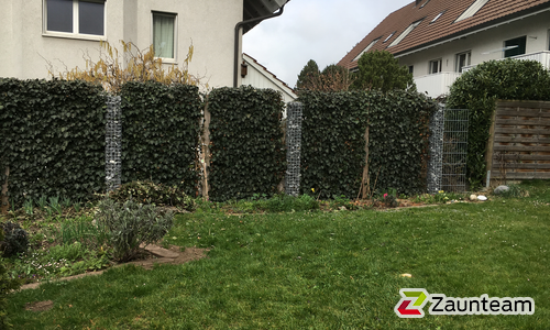 Hecke am laufenden Meter / Holzpfosten vierkant grün mit H-Anker einbetoniert wurde in Pfäffikon von Zaunteam Zürich Oberland GmbH, Gutenswil im Jahr 2016 erstellt.