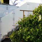Glas Geländer wurde in Breitenfurt von Zaunteam Wienerwald, Unter-Oberndorf im Jahr 2026 erstellt.