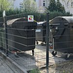 Doppelstabmatten schwer verzinkt mit Pfosten 40x60 verzinkt mit Abdeckleisten einbetoniert, Zaunteam Paderborn, Willebadessen, 33098 Paderborn Doppelstabmatten schwer verzinkt mit Pfosten 40x60 verzinkt mit Abdeckleisten einbetoniert wurde in Paderborn von Zaunteam Paderborn, Willebadessen im Jahr 2025 erstellt.