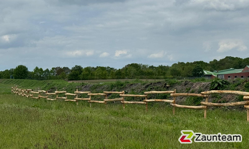 Halbrundlattenzaun weitere wurde in Stade von Zaunteam Stade-Geestland, Horneburg im Jahr 2026 erstellt.