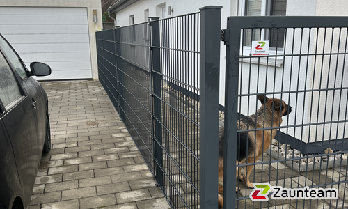Doppelstabmatten schwer vorverzinkt und anthrazit beschichtet mit Pfosten 60 x 40 mit Abdeckleisten einbetoniert wurde in Emerkingen von Zaunteam Oberschwaben, Obermarchtal im Jahr 2024 erstellt.