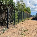 Doppelstabmatten schwer vorverzinkt und anthrazit beschichtet mit Pfosten 60 x 40 mit Abdeckleisten einbetoniert, Zaunteam Paderborn, Willebadessen, 37699 Fürstenberg Doppelstabmatten schwer vorverzinkt und anthrazit beschichtet mit Pfosten 60 x 40 mit Abdeckleisten einbetoniert wurde in Fürstenberg von Zaunteam Paderborn, Willebadessen im Jahr 2025 erstellt.