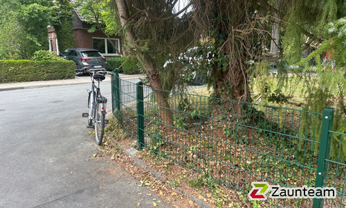 Doppelstabmatten leicht feuerverzinkt und grün beschichtet mit Pfosten 60 x 40 mit Abdeckleisten einbetoniert wurde in Coesfeld von Zaunteam Münsterland, Münster im Jahr 2026 erstellt.