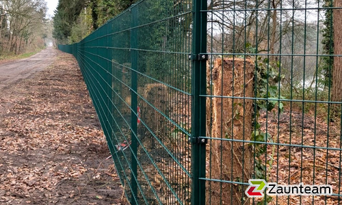 Doppelstabmatten leicht vorverzinkt und grün beschichtet mit Pfosten Vario einbetoniert wurde in Zetel von Zaunteam Friesische-Wehde, Zetel im Jahr 2026 erstellt.