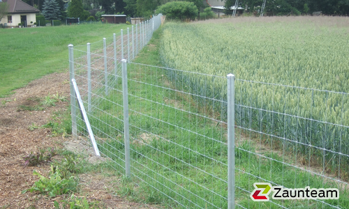 Knotengitter Tornado mit Rohrpfosten verzinkt einbetoniert wurde in Kriebstein von Zaunteam Mittelsachsen, Roßwein im Jahr 2019 erstellt.