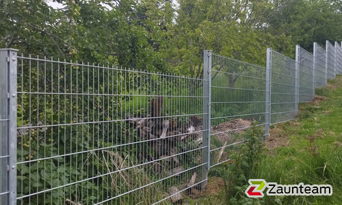 Doppelstabmatten leicht verzinkt mit Pfosten 40x60 verzinkt mit Abdeckleisten einbetoniert wurde in Kirchberg im Wald  von Zaunteam Regen, Regen im Jahr 2026 erstellt.
