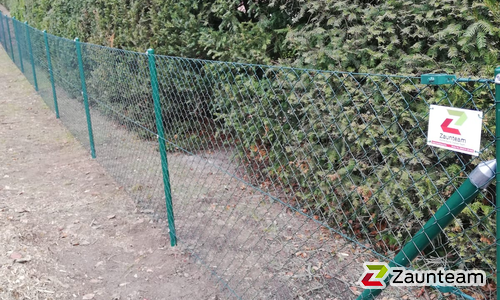 Diagonalgeflecht grün mit Rohrpfosten stabil grün einbetoniert wurde in Hinterbrühl von Zaunteam Wienerwald, Unter-Oberndorf im Jahr 2019 erstellt.