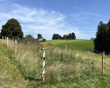 Kordelzaun mit Robinienpfosten vierkant wurde in Rehetobel von Zaunteam Appenzellerland, Wasserauen im Jahr 2025 erstellt.