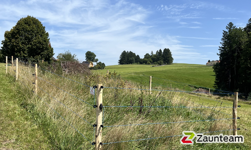 Kordelzaun mit Robinienpfosten vierkant wurde in Rehetobel von Zaunteam Appenzellerland, Wasserauen im Jahr 2025 erstellt.