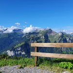 Bohlenzaun mit Lärchenkantpfosten braun wurde in Schynige Platte von Zaunteam Berner Oberland, Ringgenberg im Jahr 2018 erstellt.