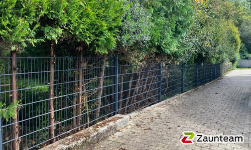 Doppelstabmatten schwer feuerverzinkt und anthrazit beschichtet mit Pfosten 60 x 40 mit Abdeckleisten einbetoniert wurde in Sonthofen von Zaunteam Allgäu, Bad Hindelang - Unterjoch im Jahr 2023 erstellt.