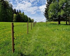 Kordelzaun mit Tannenpfosten zylindrisch grün wurde in Grüningen von Zaunteam Zürich Oberland, Gutenswil im Jahr 2025 erstellt.