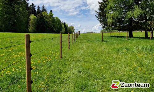 Kordelzaun mit Tannenpfosten zylindrisch grün wurde in Grüningen von Zaunteam Zürich Oberland, Gutenswil im Jahr 2025 erstellt.