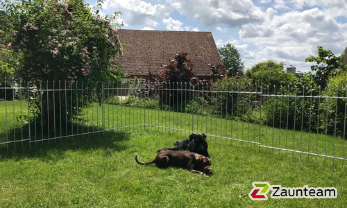 Steckzaun Locarno wurde in Kottwil von Zaunteam Willimann, Eich im Jahr 2020 erstellt.