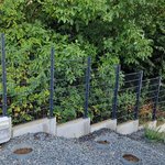 Doppelstabmatten schwer feuerverzinkt und anthrazit beschichtet mit Pfosten 60 x 40 mit Abdeckleisten mit Fussplatte wurde in Ober-Ramstadt von Zaunteam Bergstraße-Ried, Lorsch im Jahr 2025 erstellt.