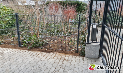 Doppelstabmatten leicht vorverzinkt und anthrazit beschichtet mit Pfosten 60 x 40 mit Abdeckleisten einbetoniert wurde in Aarau von Zaunteam Aargau, Egliswil im Jahr 2021 erstellt.